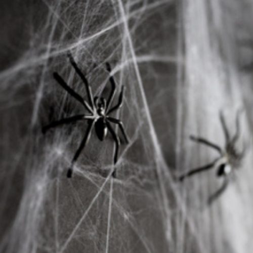 Spinnenweb met Spinnen Halloween bestellen bij FeestVoordeel |